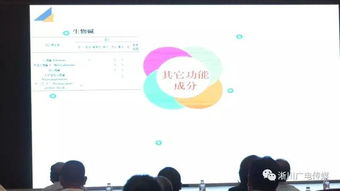 淅川县互联网技术