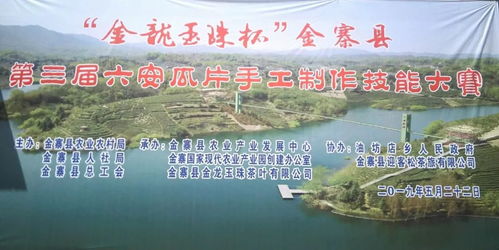 宝兴县互联网技术