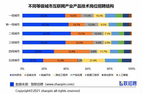 互联网技术人员分层图