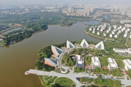 科技湾区