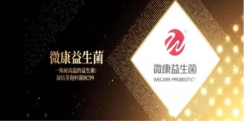 配煤技术的创新发展