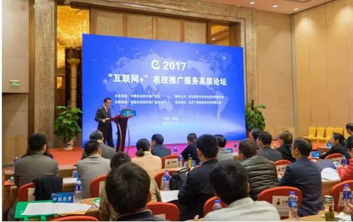 互联网技术高管