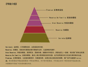 实验技术的创新与改进