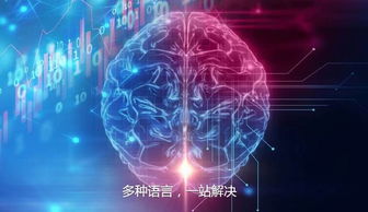 投资科技企业