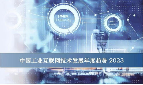 山东的互联网技术