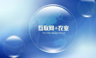 互联网技术农村