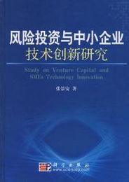 技术创新的资金风险
