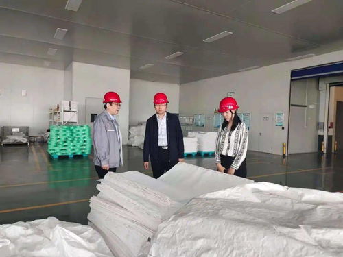 投标互联网技术方案书