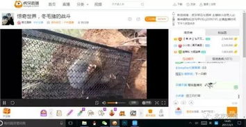科技感网名