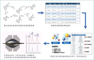 创新性检测技术的意义